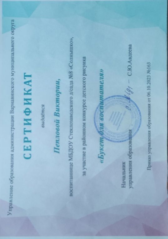 сертификат вики.jpg