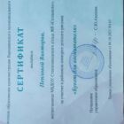 сертификат вики.jpg