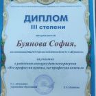 диплом софа.jpg