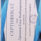 сертификат.jpg