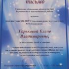 благодарственное письмо (3).jpg