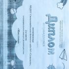 диплом вика.jpg